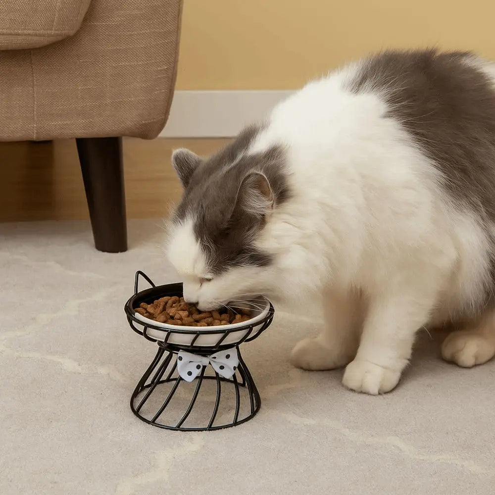 Pet Accessories With Stand Ceramic Cat Bowl Non-Slip Large Capacity Dog Water Bowl Cartoon Pet Feeder Pet Drinking